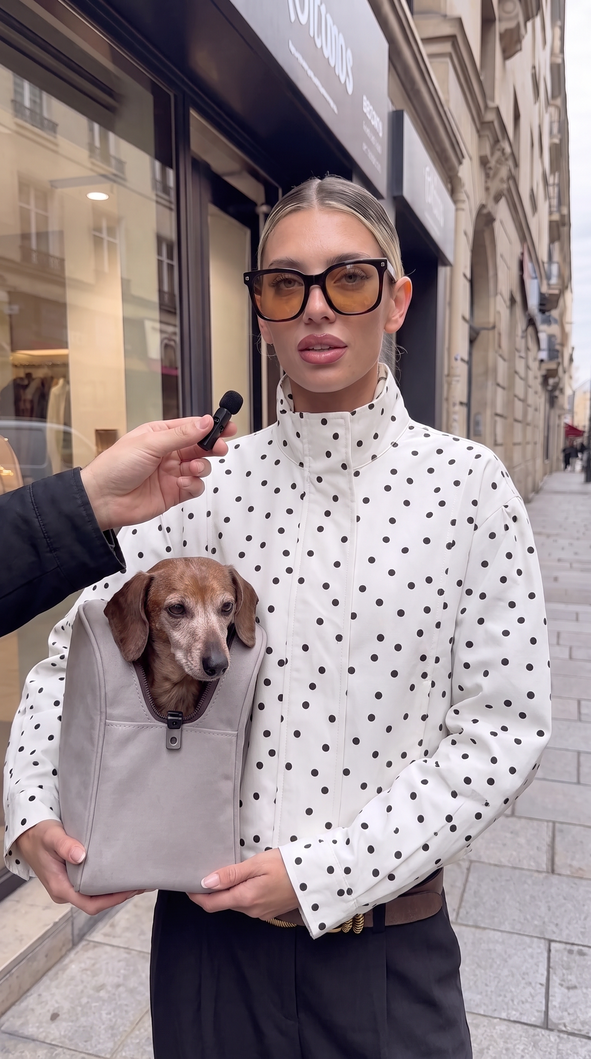 Womens Polka-dot Printed Stand-collar Long-sleeve Coat